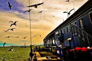 会员市场安全的网站攻击源码