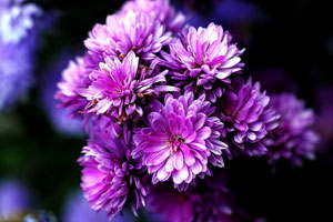 攻击网站的方法